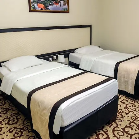 Teona