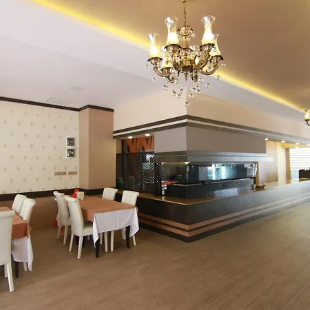 Hotel Teona