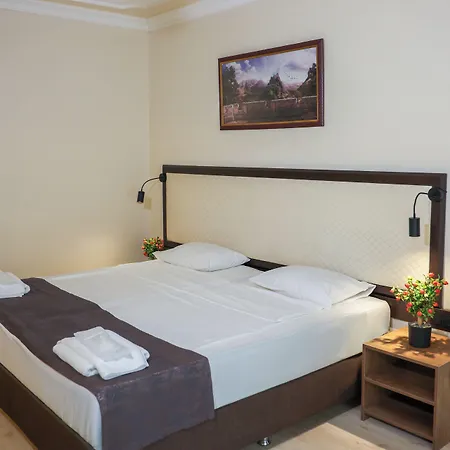 Hotel Teona 3*